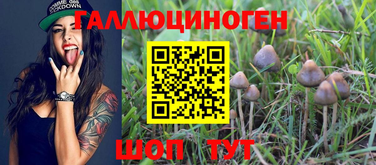 Псилоцибиновые грибы мицелий  Вход с VPN  Сатка 