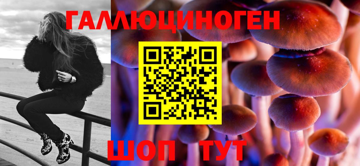 Псилоцибиновые грибы мицелий Сатка